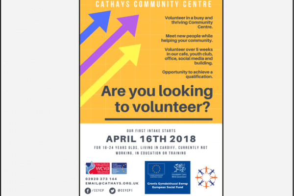 Community Centre Assistant / Volunteer