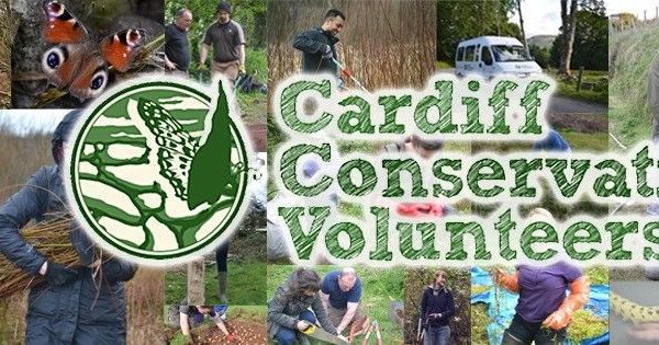 Conservation Environment Volunteer