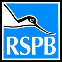 Community Engagement Voluntary Internship